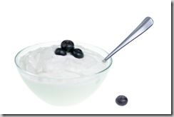 yogurt starter2