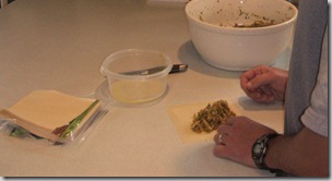 egg rolls2