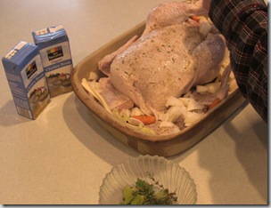 chicken (3)