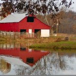 farm
