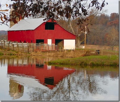 farm