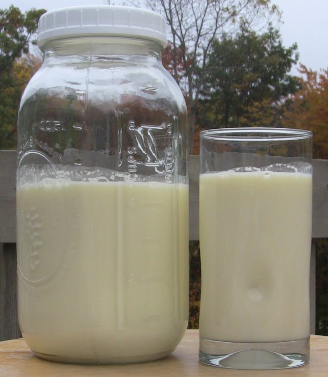 Why is Raw Milk SO Good for Us? #1 in the Raw Milk Series - Kelly the