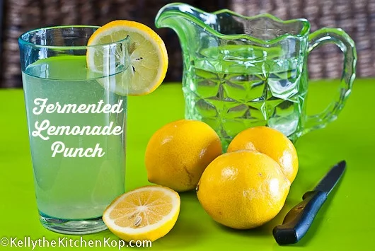 fermented-lemonade-punch