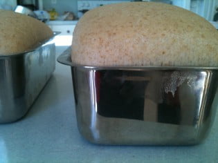 homemade bread rising