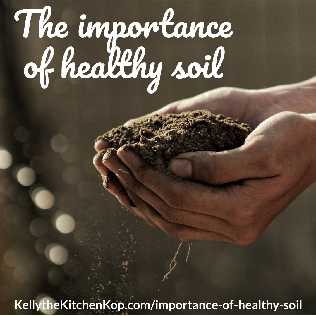 importance of healthy soil