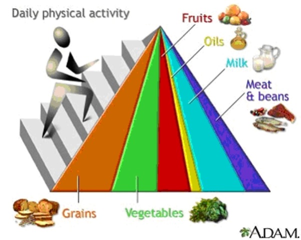 The food pyramid