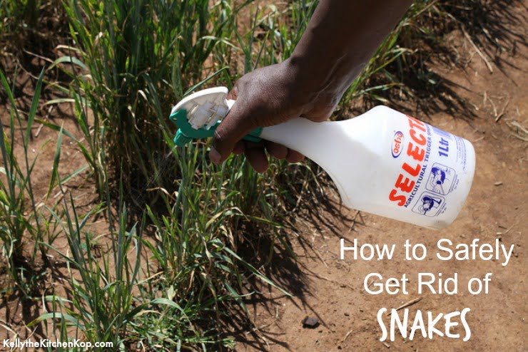 Natural Snake Repellent