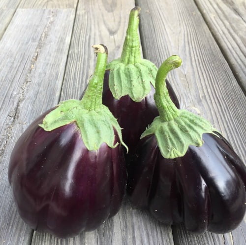 Easy Fried Eggplant Recipe