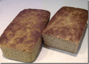 sourdough again (6)