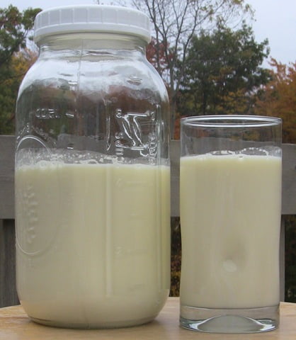 What To Do With Raw Milk Before And As It Sours