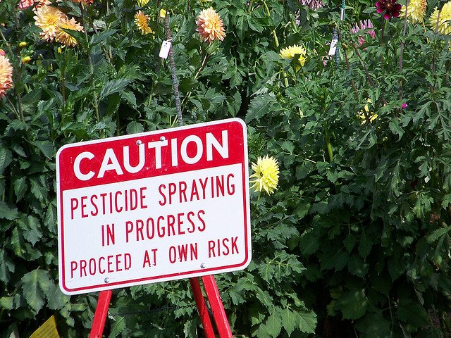 pesticides on apples