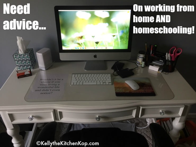 Homeschool AND work at home