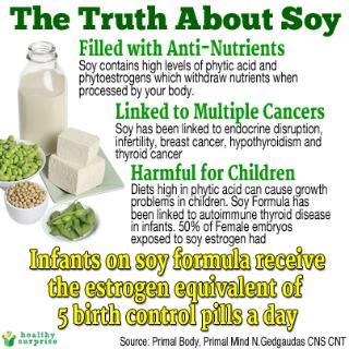 soy infant formula