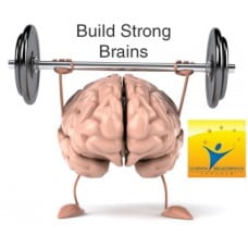 build brains