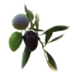 olives