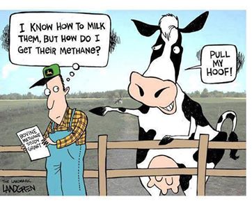 cow-methane