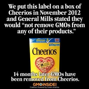 Cheerios-gmos