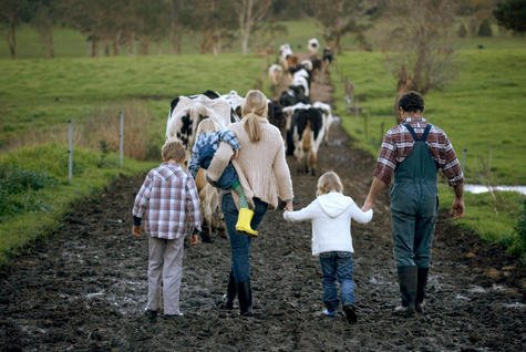 farm together stock