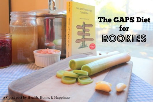 The GAPS Diet for Rookies - an overview