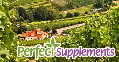 Perfect-Supplements-logo