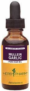 mullein garlic