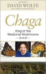 Health benefits of Chaga mushroom tea