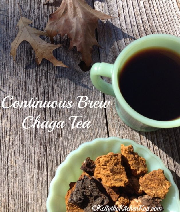 Health Benefits of Chaga Mushroom Tea