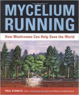 mycelium running