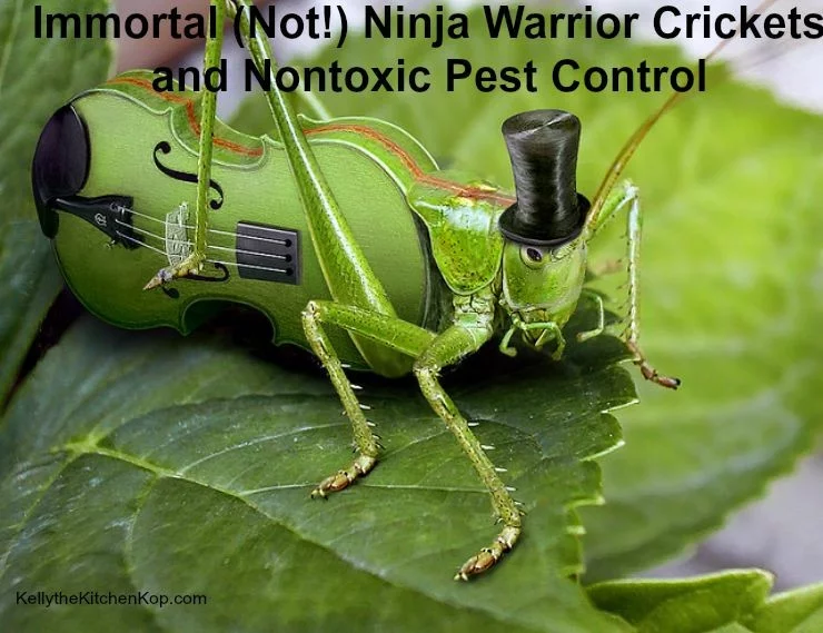 SIMPLE Nontoxic Pest Control