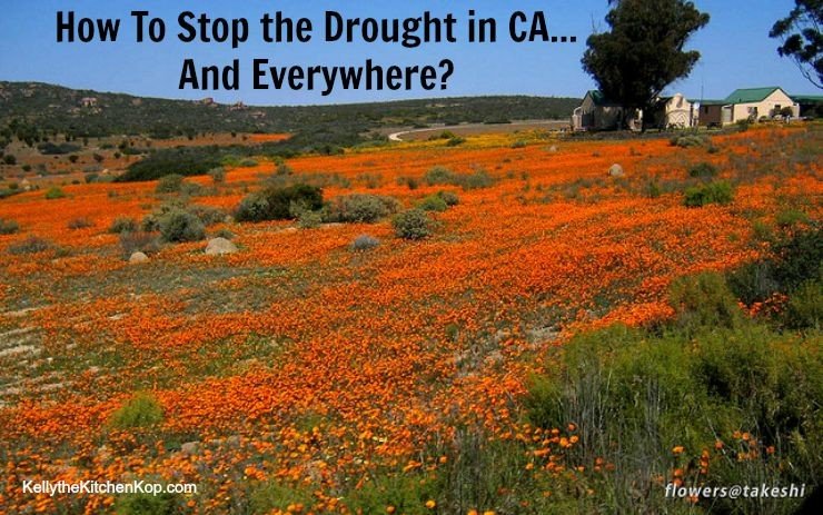 How to Stop the Drought in California