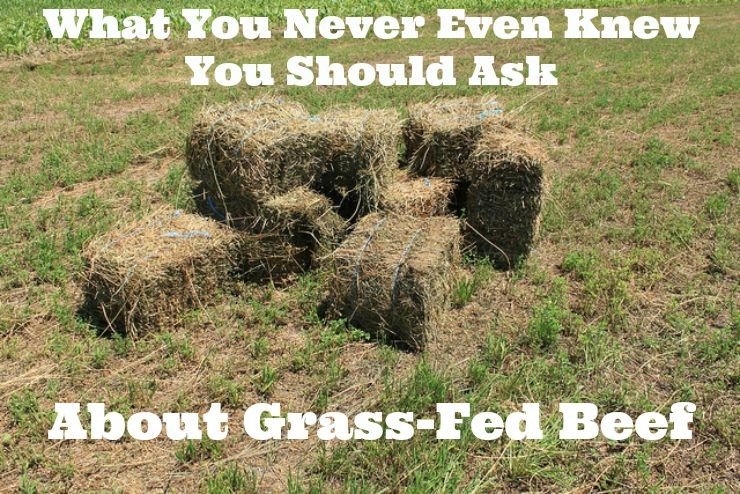 Ask About Grass-fed Beef