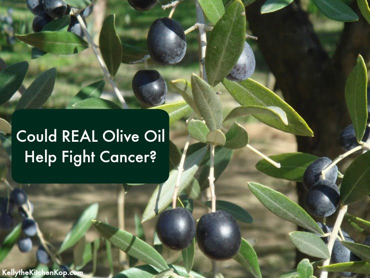 Olive Oil Help Fight Cancer