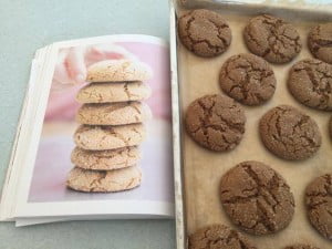 ginger cookies