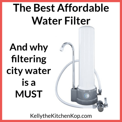 BEST Affordable Water Filter Kelly the Kitchen Kop