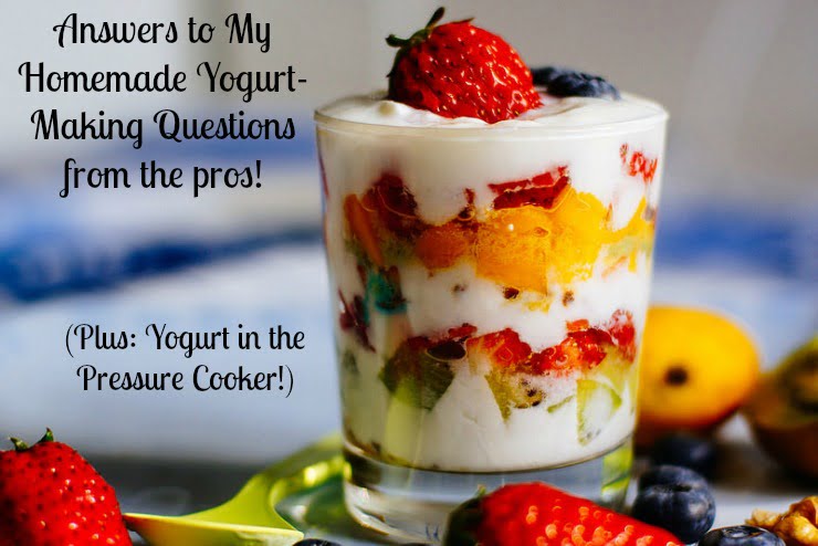 Yogurt in the Pressure Cooker