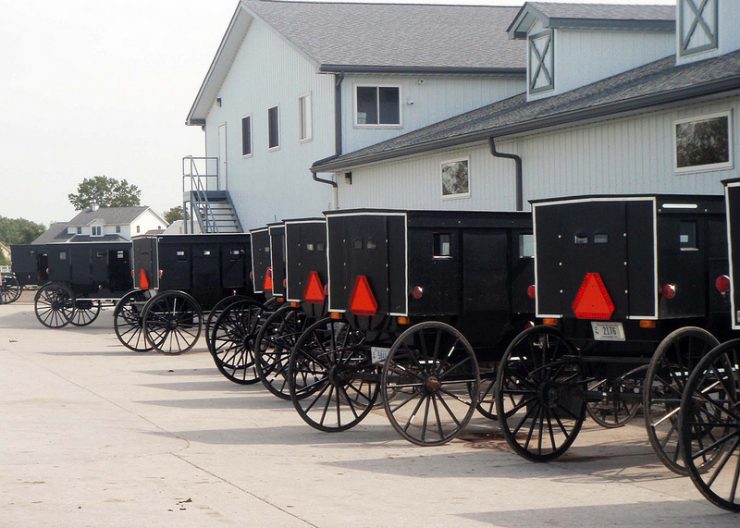 Amish Father of 12 Thrown in Jail