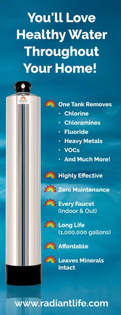 Best Whole House Water Filter