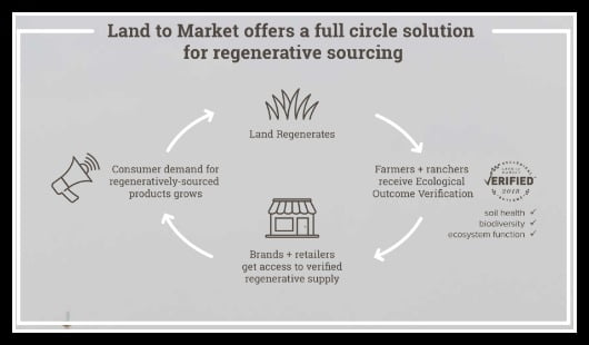 Regenerative Grazing