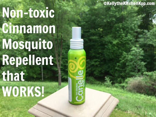 Natural Bug Spray that WORKS
