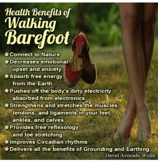 Why is Earthing Important